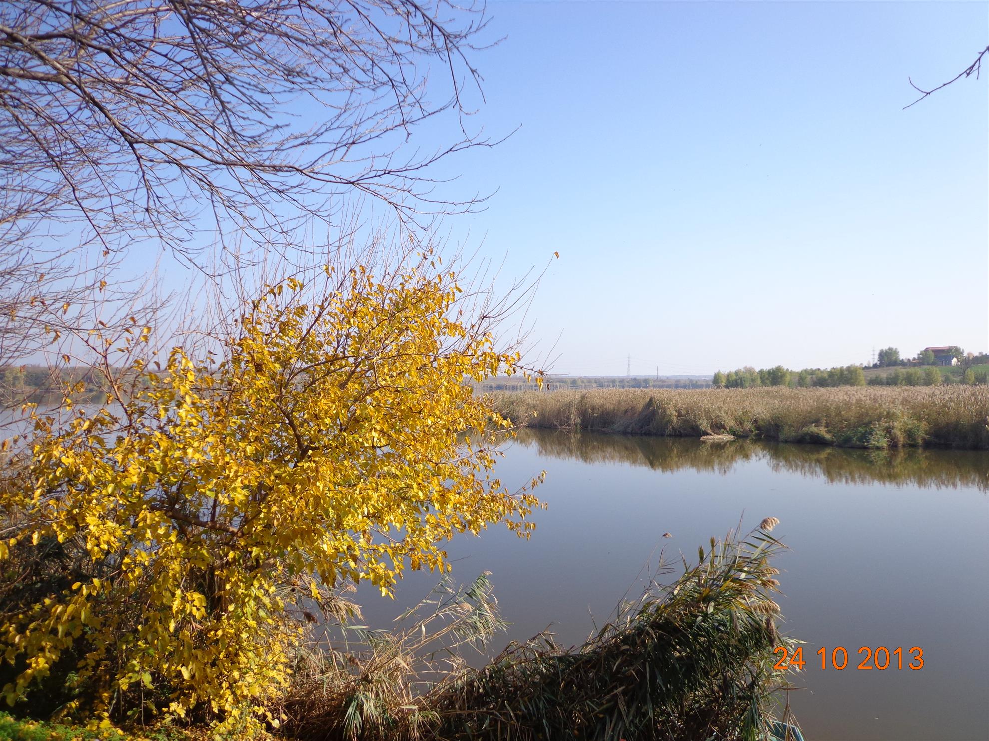 Carp mad - dsc01831.JPG